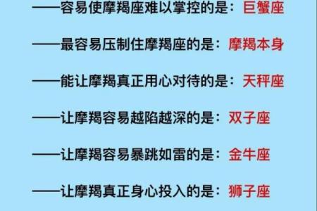 2024星座摩羯运势