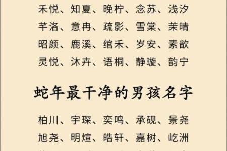属蛇辰时出生的男孩如何取名字，适合用什么字姓名