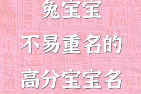 1月份出生的属兔男孩该怎样取名字姓名