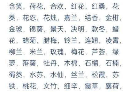 花姓女孩名字大全-花姓女孩起名字大全-花姓名字大全姓名