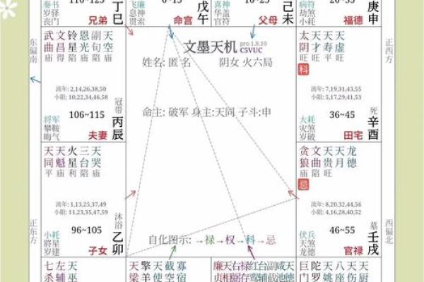 紫薇斗数子女预测