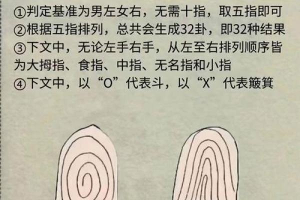 用抛硬币法算命