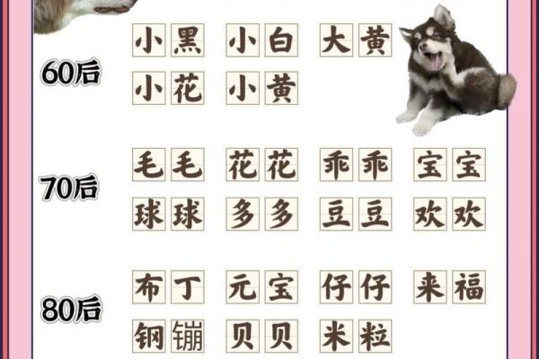 傍晚出生的属狗男孩怎么取名，适合什么字姓名