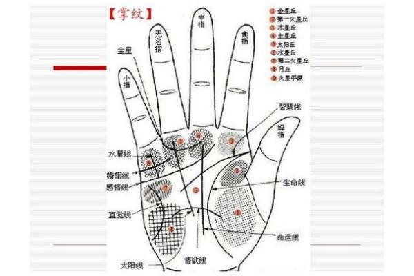 识人术：从八字五行看人的性情相貌