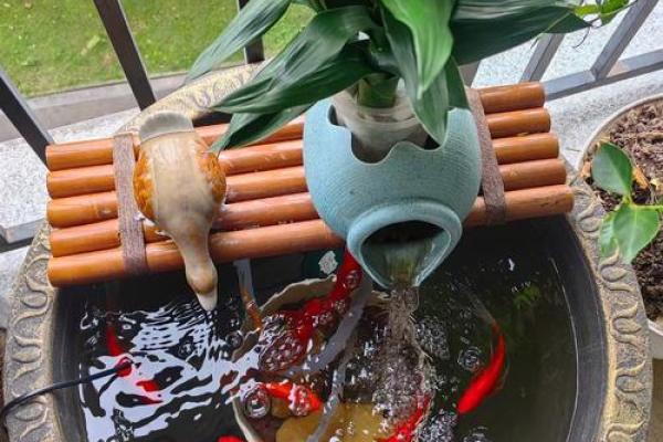 楼顶养鱼 风水