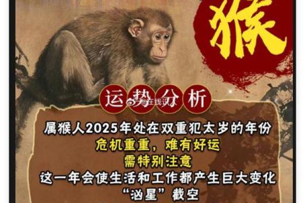 早上九点出生的属猴男孩应取什么名，适合什么字姓名