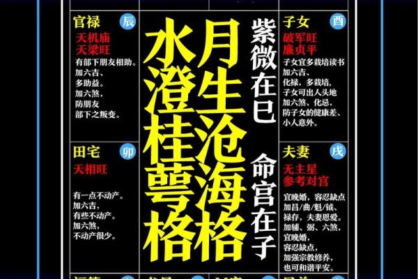 紫微斗数凶恶格局总结 紫微斗数里的狠角色？