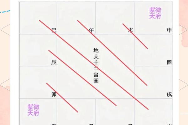 紫薇斗球数排盘