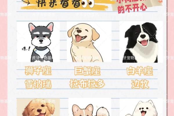 狗的十二星座性格特点大全