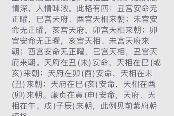 观星阁紫薇斗数