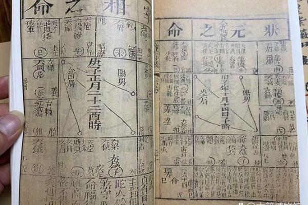观星阁紫薇斗数