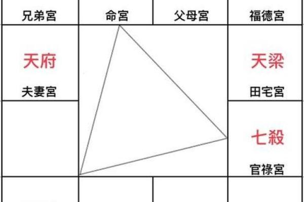 紫薇斗数风尘
