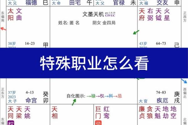 紫薇斗数风尘