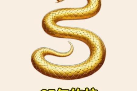 属蛇丑时出生的男孩怎么取名字，宜用什么字姓名