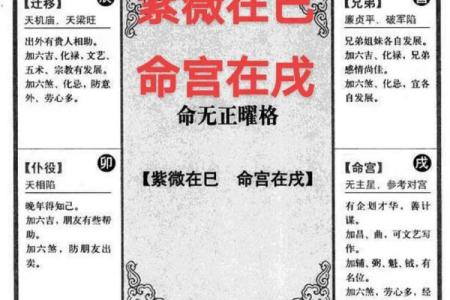 紫微斗数143 紫微斗数144？
