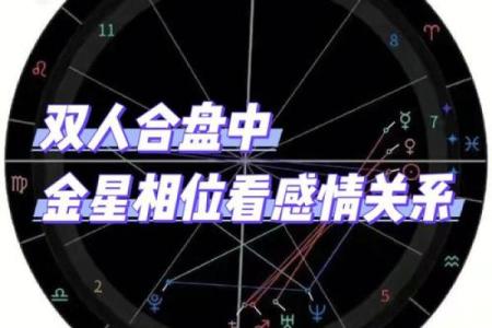 双人紫薇斗数在线合盘