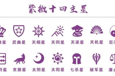 三问紫微斗数星曜大全解析 紫微斗数星曜详解？