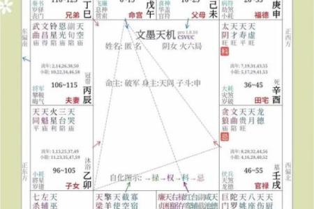 紫薇斗数阳宫