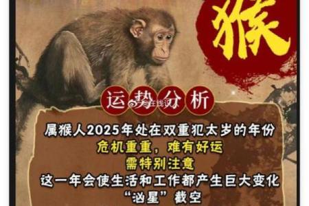早上九点出生的属猴男孩应取什么名，适合什么字姓名