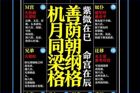 紫微斗数凶恶格局总结 紫微斗数里的狠角色？