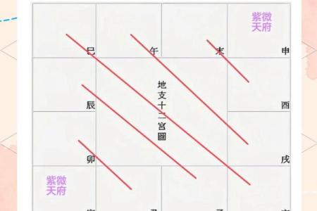紫薇斗球数排盘
