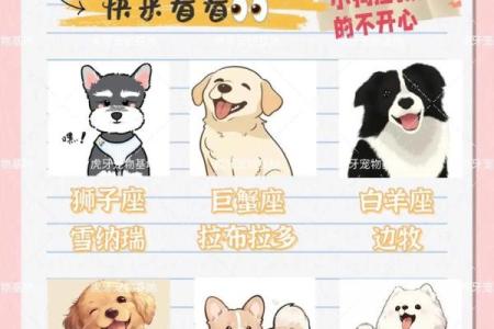 狗的十二星座性格特点大全