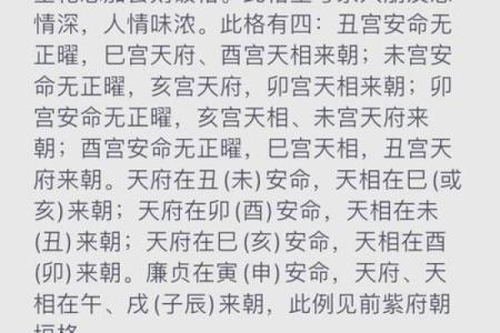 观星阁紫薇斗数