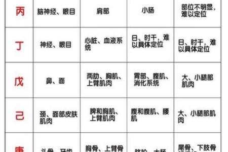 免费生辰八字算命详解