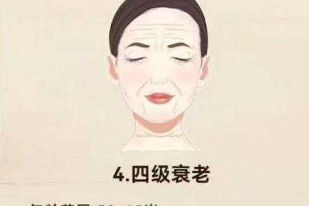 面部衰老八字图