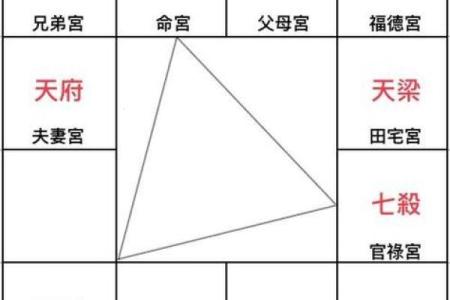 紫薇斗数风尘