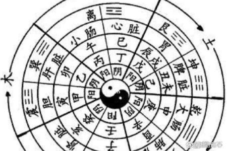 八字两透
