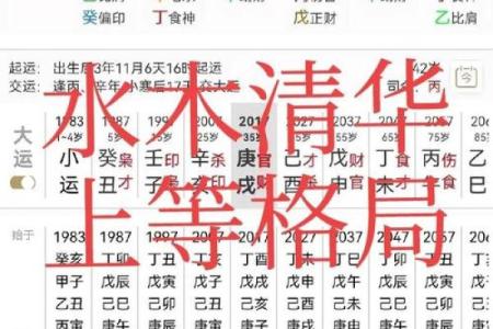 什么是八字木多呢