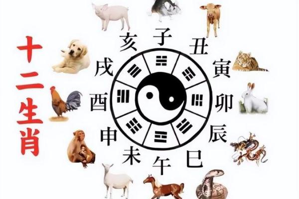 生辰八字起伏