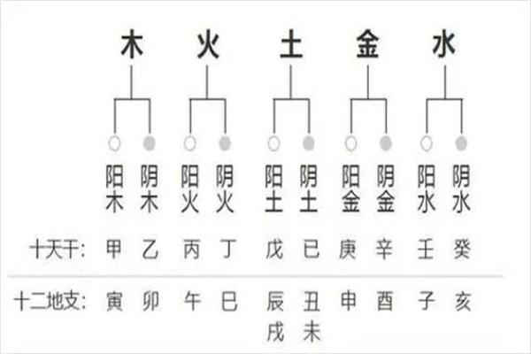 八字txt
