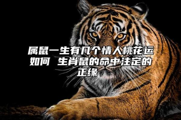 测试一生几个孩子早已命中注定 测试一生有几个孩子