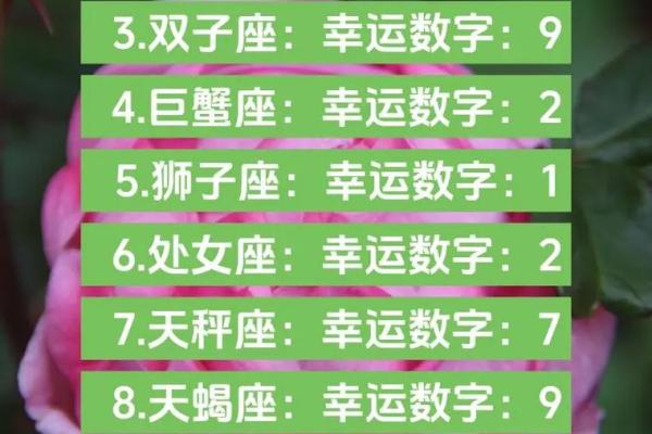 7号是什么星座