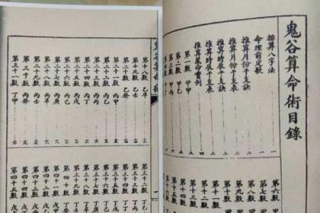 算命说有两个替子