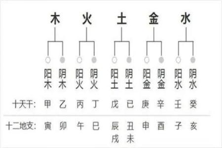 八字txt