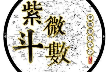 紫微斗数看事业／学业