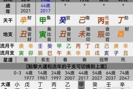 伤官见官的八字