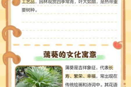 扇子树的风水 扇子树的风水讲究