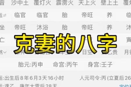 男命八字纯阳克妻吗婚姻运势如何