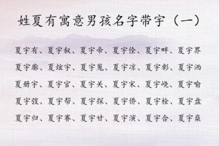 2019年3月28号辰时出生的男孩如何起名姓名