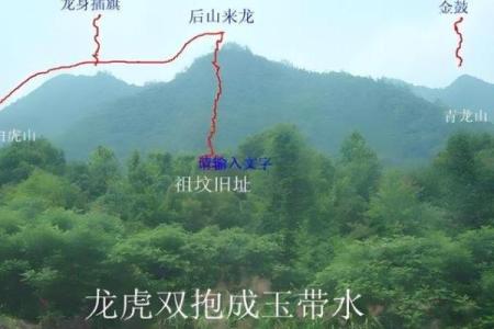 祖坟风水不注意对后代的影响